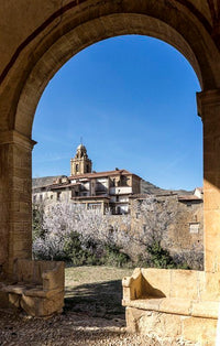 Elena R (Teruel, ES)