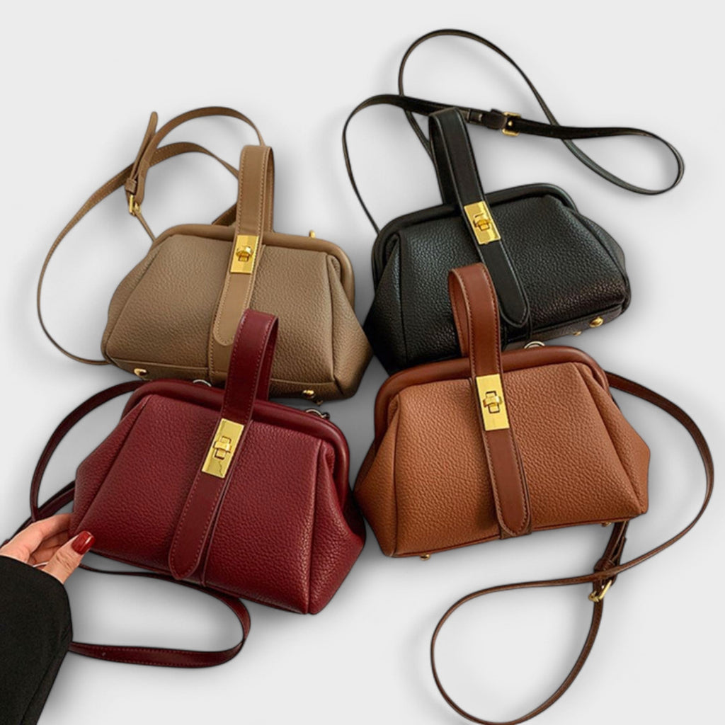 Set de bolsos de cuero en varios colores: camel, burdeos, marrón y negro